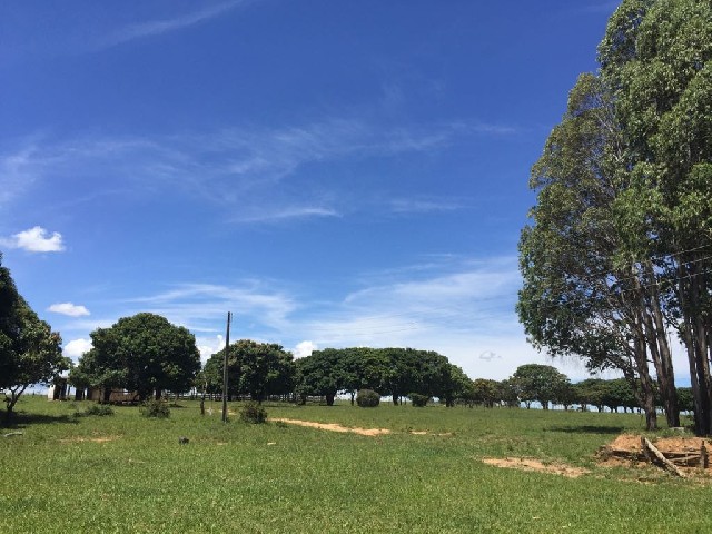 Foto 1 - Fazenda  3500 ha em gua fria de gois